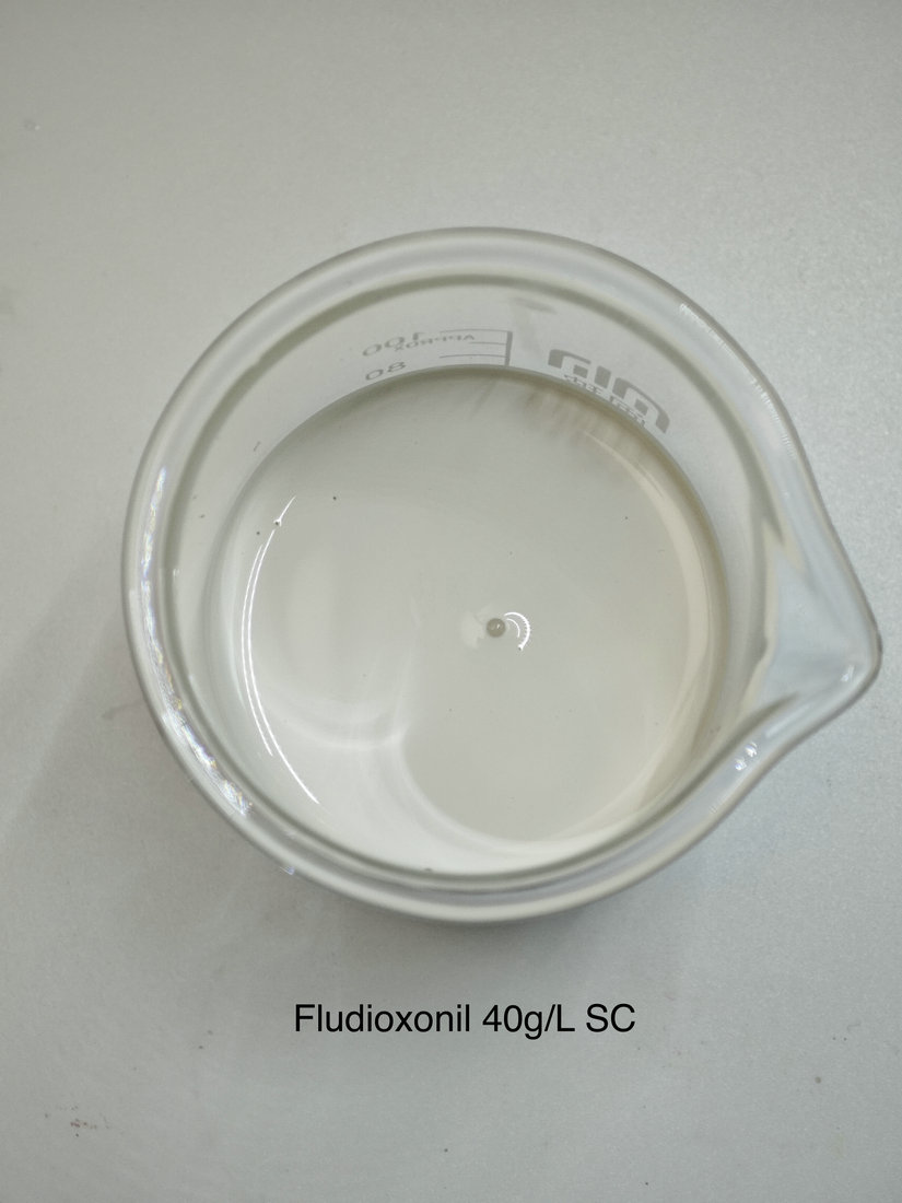 Fludioxonil 40g/L SC
